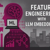 mlm-feature-engineering-llm-embeddings